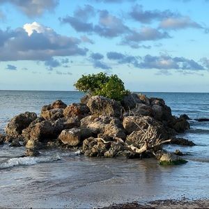 Meet your Posher, Jeffrey